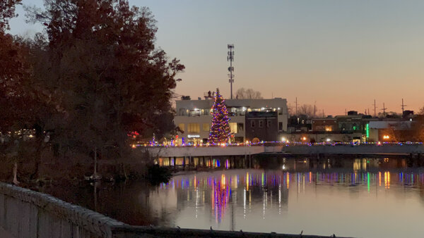 Downtown's tree mirrored in the Mill Pond