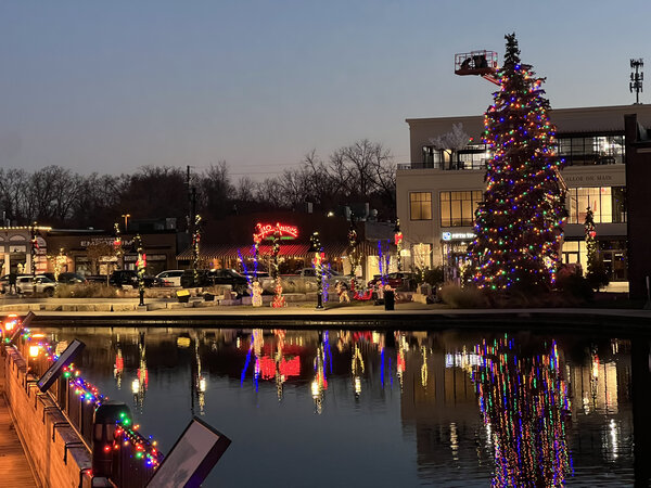 Raising the centerpiece tree over the pond