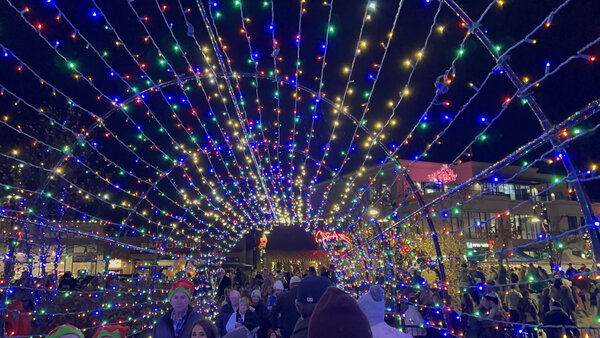 Beneath a canopy of a thousand bulbs