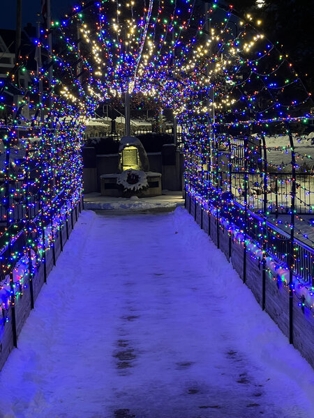 A snow-lined path beneath lit branches