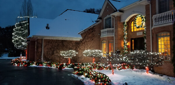 Warm-white trees lining the drive