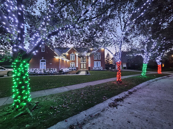 Snow-white canopies over a green-wrapped lawn