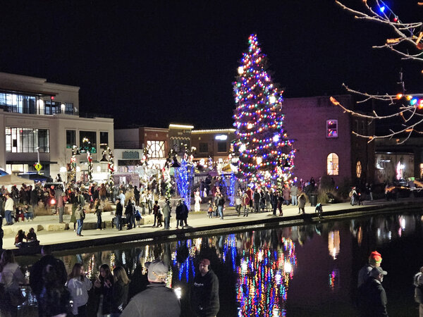 A town gathered around the harbor tree