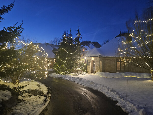 Warm-white drifts at blue hour